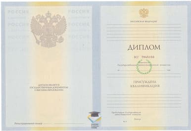 Диплом СПбИГО 2010-2011 годов